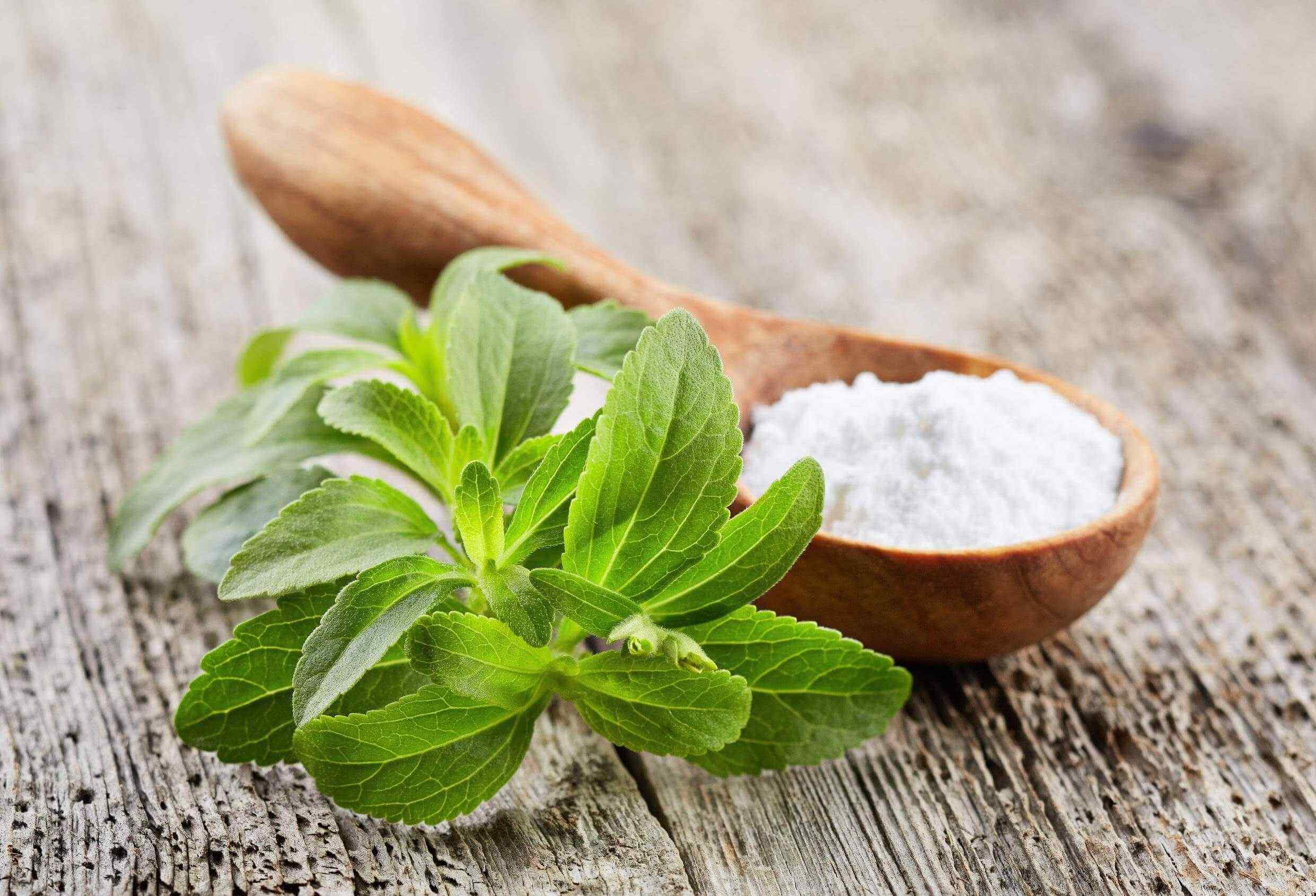 Steviolglycoside – der Süßstoff aus der Stevia-Pflanze 