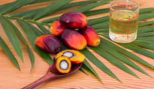Palmölfrüchte und Palmöl auf Holztisch