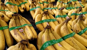 Bananen mit Banderole und Etikett