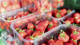 Erdbeeren in Plastikschalen