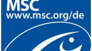 MSC Logo