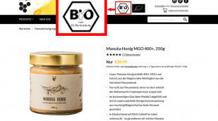 Manuka Honig MGO 400+, 250 g, Angebot auf beegut.de, Screenshot 22.02.2021 